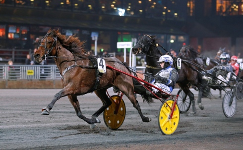 Catarina Norqvist siktar mot Elitloppet med From the Mine. Foto av Maria Holmén/TR Bild